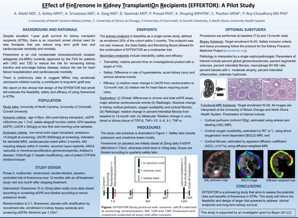 Poster_Mottl_EFFEKTOR_Resized