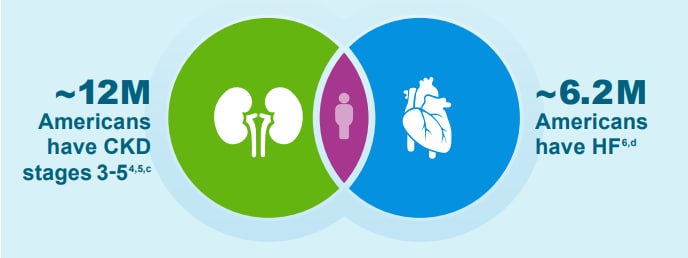 Heart Kidney Connection Prevalence Infographic