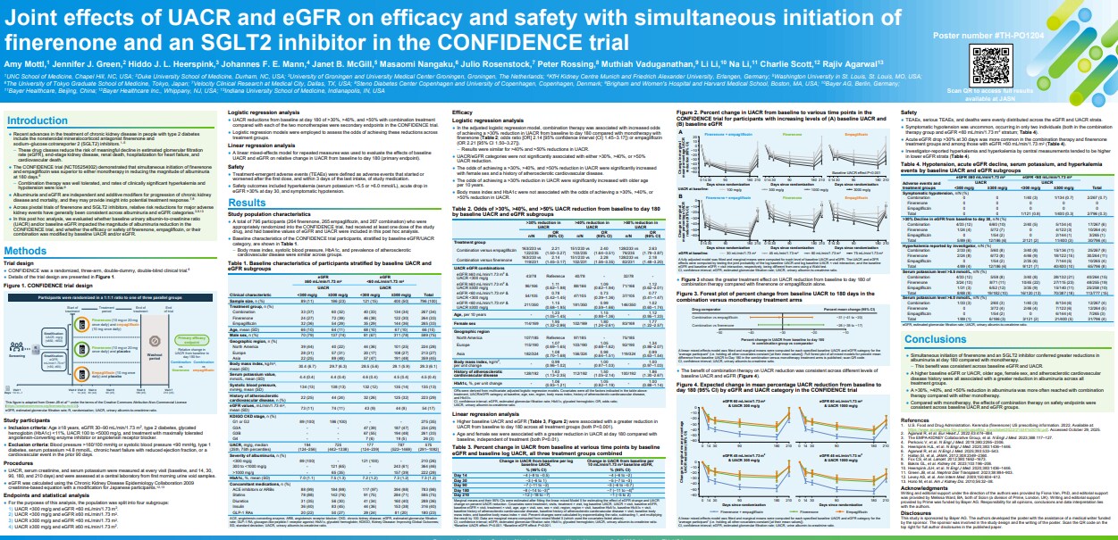 Poster_Mottl_CONFIDENCE