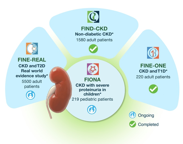 Finerenone Kidney